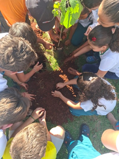 MEIO AMBIENTE: Alunos da Escola Municipal Santa Mônica participam de plantio de árvores em ação de conscientização ambiental